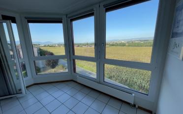 Apartment - image - 3