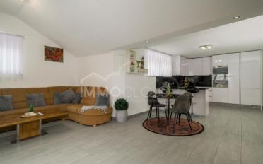 Wohnung 5.5 Zimmer - image - 4