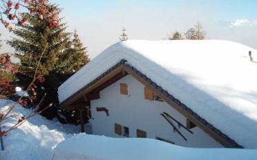Chalet 7 pièces - image - 2