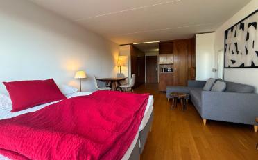 Wohnung ein Zimmer - image - 2
