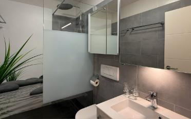 Appartement 4.5 pièces - image - 12