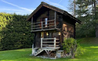 Chalet 5.5 Zimmer - image - 13