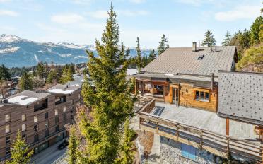 Chalet 10.5 rooms - image - 2