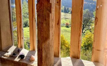 Einfamilienhaus 20 Zimmer - image - 13