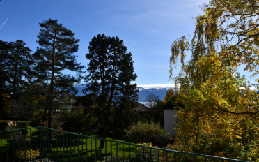 Maison 6.5 pièces - image - 9