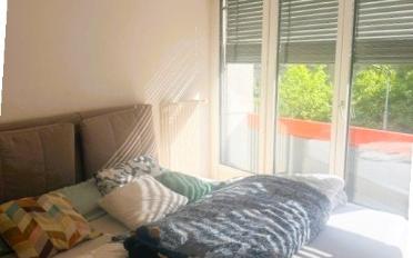 Apartment 2.5 rooms - image - 5