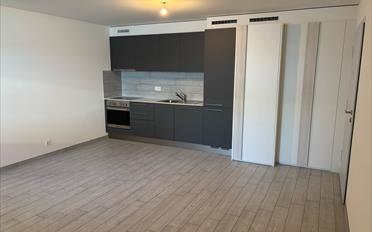 Studio ein Zimmer - image - 3