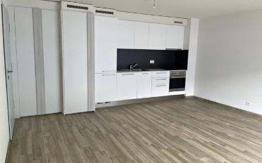 Apartment 1 room - image - 4