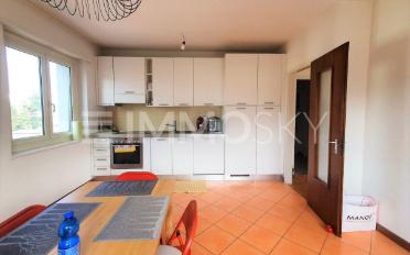 Appartement 5.5 pièces - image - 3