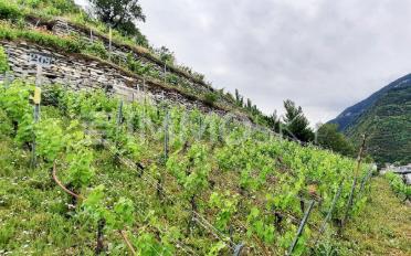 Building land - image - 3