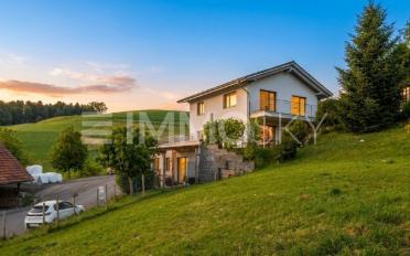 Einfamilienhaus 9 Zimmer - image - 1
