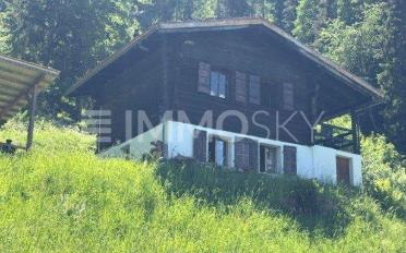 Single house 2.5 rooms - image - 2