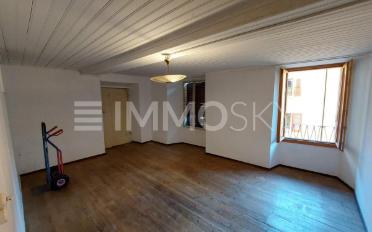 Einfamilienhaus 9.5 Zimmer - image - 3