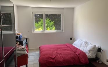 Appartement 4.5 pièces - image - 4