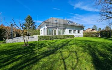 Single house 10 rooms - image - 1