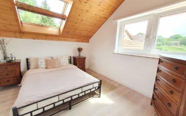 Einfamilienhaus 7.5 Zimmer - image - 11