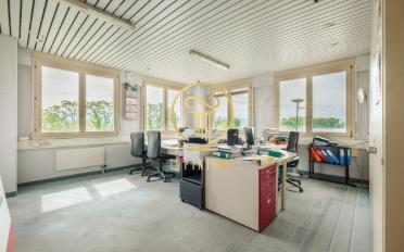 Office - image - 4