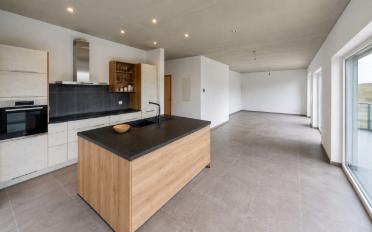 Wohnung 3.5 Zimmer - image - 1