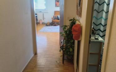 Wohnung 2 Zimmer - image - 2