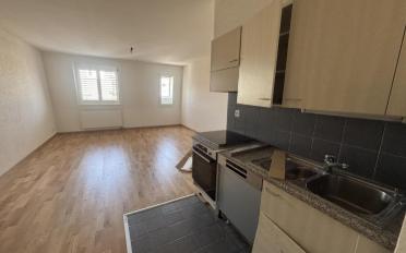 Appartement 1.5 pièces - image - 2