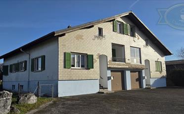 Doppeleinfamilienhaus 6.5 Zimmer - image - 2