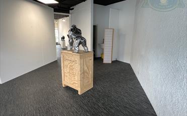 Commercial 2 rooms - image - 4