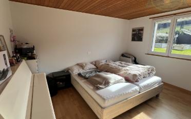 Einfamilienhaus 8.5 Zimmer - image - 7