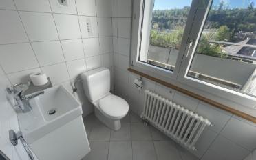 Duplex 5.5 pièces - image - 3