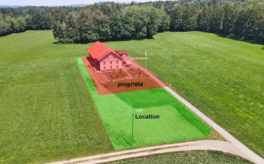 Bauernhaus 6.5 Zimmer - image - 5