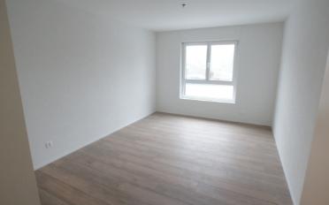 Appartement 4.5 pièces - image - 4
