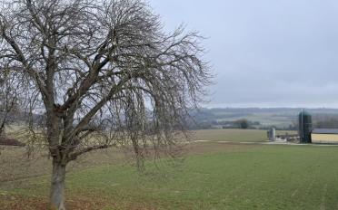 Villa 4.5 rooms - image - 3