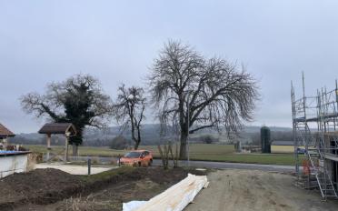 Villa 4.5 rooms - image - 9