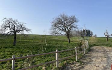 Villa 4.5 pièces - image - 12