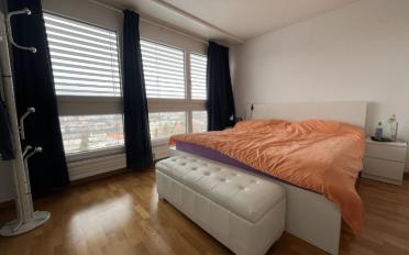 Wohnung 4.5 Zimmer - image - 8