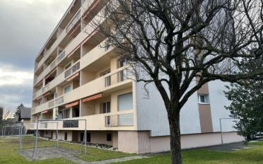 Wohnung 3.5 Zimmer - image - 1