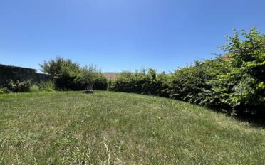 Wohnung 4.5 Zimmer - image - 2