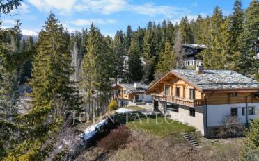 Chalet 10 Zimmer - image - 2