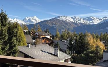 Chalet 9 pièces - image - 12
