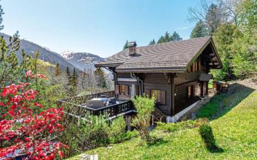 Chalet 6.5 rooms - image - 2