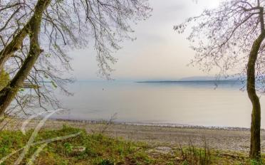 Building land - image - 3