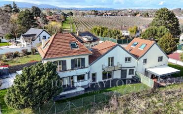 Villa 8.5 Zimmer - image - 1