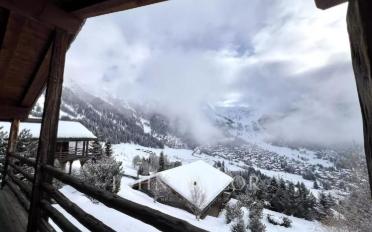 Chalet 10 rooms - image - 2