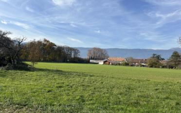 Maison - image - 4