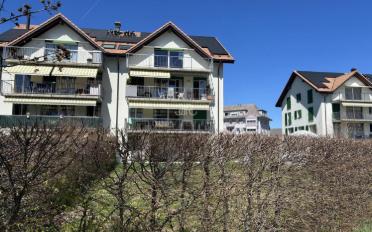 Apartment - image - 1
