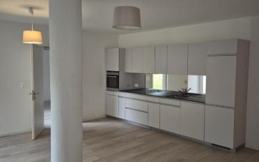 Wohnung 2.5 Zimmer - image - 1