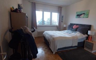 Apartment 2.5 rooms - image - 2