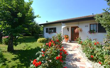 Villa 8 Zimmer - image - 21