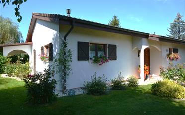 Villa 8 Zimmer - image - 22