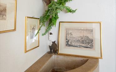Einfamilienhaus - image - 3