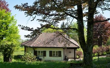 Einfamilienhaus - image - 23